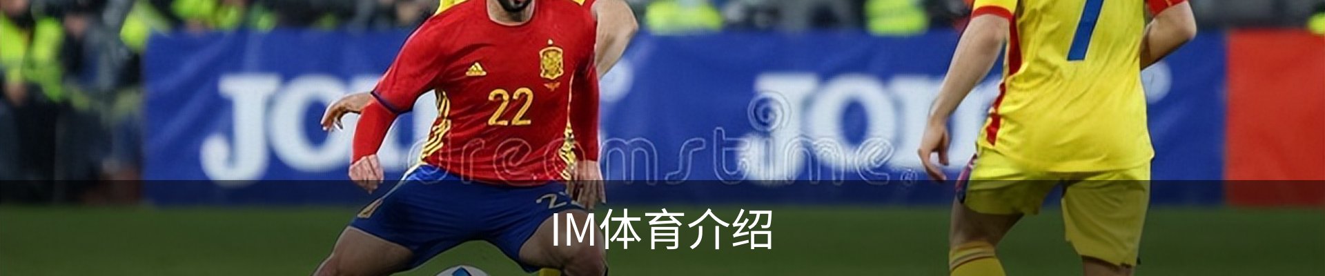 IM体育介绍